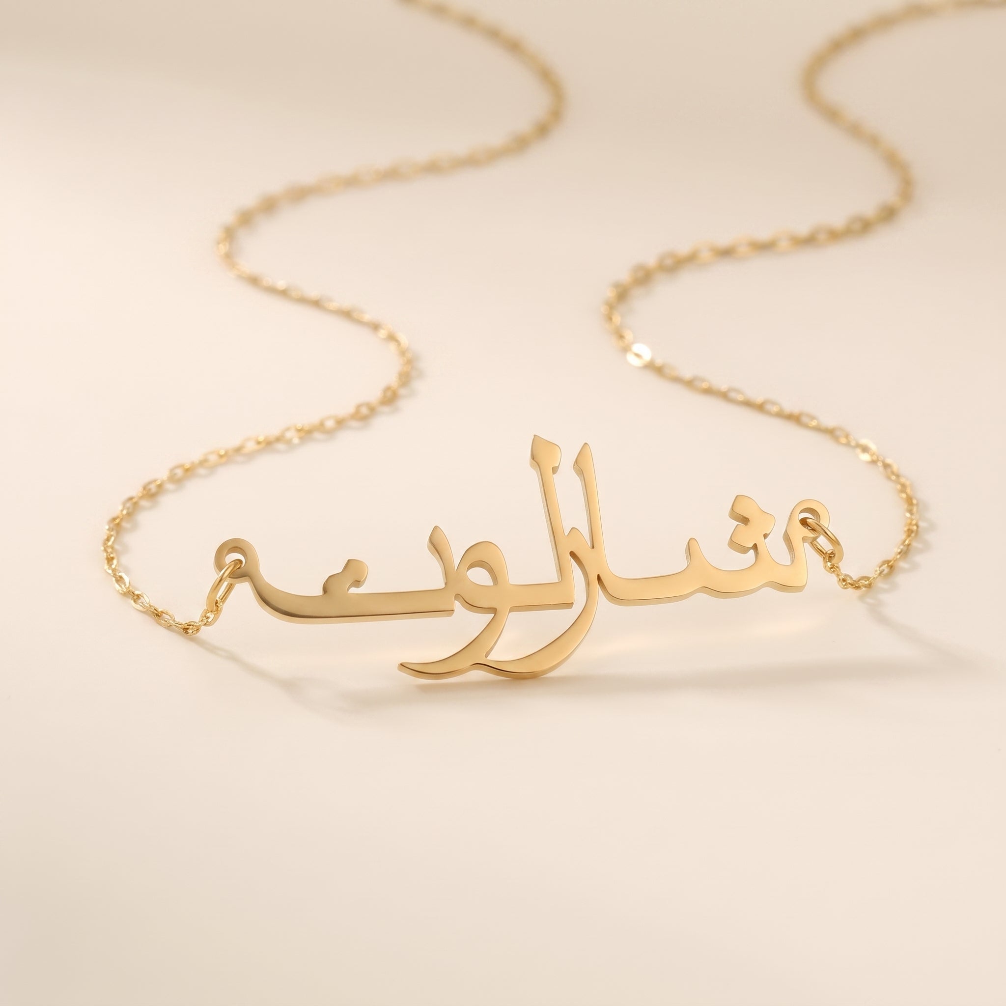 Charlotte Name Meaning &amp; Origin Name Necklace