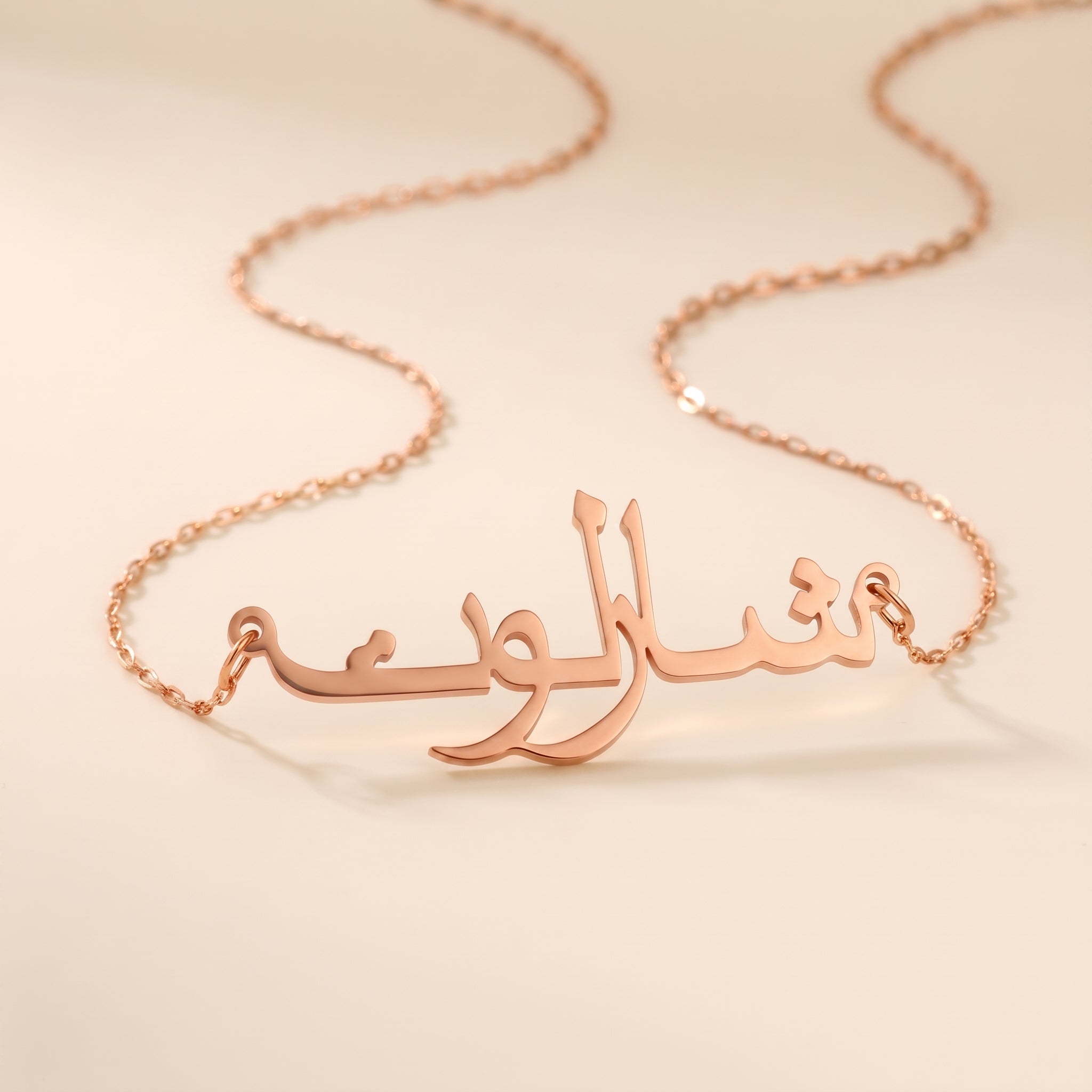 Charlotte Name Meaning &amp; Origin Name Necklace